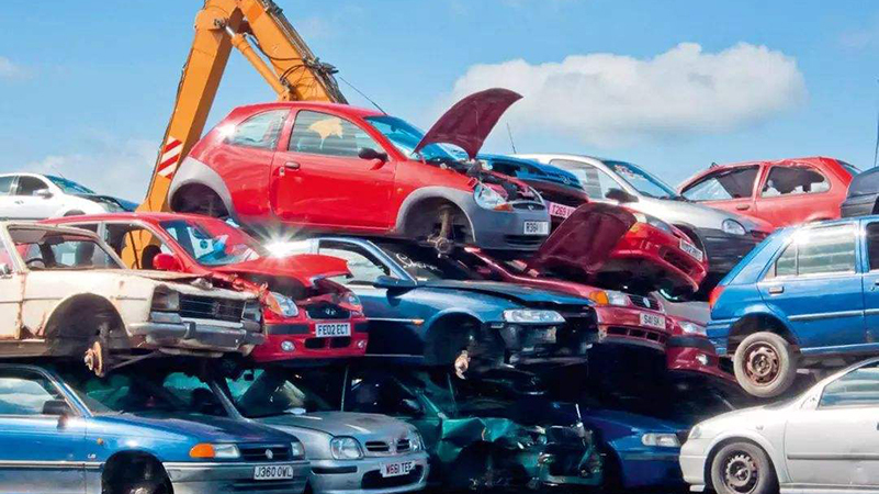 1735293102530484.jpeg cf7f0f438da7440c82a32a8bd271d7a5.jpeg